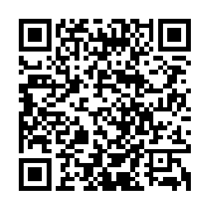 迅速拓宽建成一条四车道外带非机动车道和绿化隔离带的主千道二维码生成