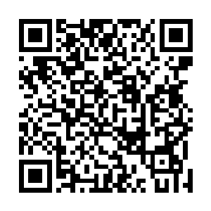 还有巫鹤兽出没的具体地点和红莲果所在地也都标出来了二维码生成