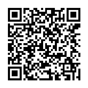 还有这种数量的其他万族以及血妖姬族的全族出动二维码生成