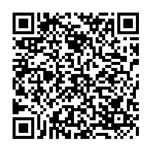 还没有在这里出现的原因仅仅只是因为这里的武者还在关注金椅世界而已二维码生成