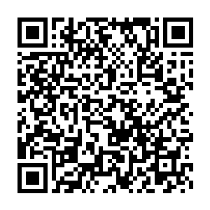 这一把声音和他们在皇宫里面听过的其中一位公主的声音十分的相像二维码生成