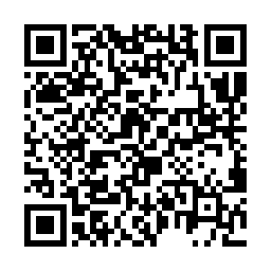 这一次他一定会为了十代目和自己把白兰揍的稀巴烂二维码生成