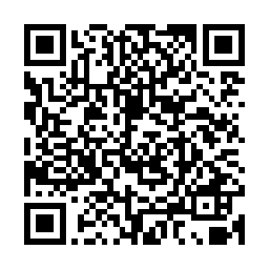 这七本书的总纲在一小时前就已经在现场的副屏幕上公布出来了二维码生成