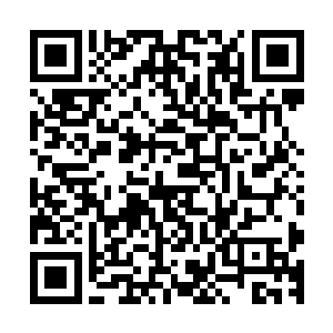 这上面依然存在着御兽宗惯用的几种阵法来保护盒子里的东西二维码生成