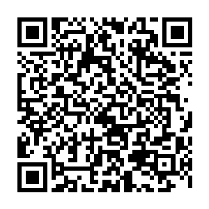 这两个改造人应该不会做出这样的选择的……他们不会这样去浪费时间的二维码生成