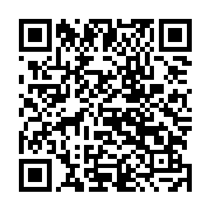 这两个要求只是不收罗师兄黄金霸王枪做抵押的代价而已二维码生成