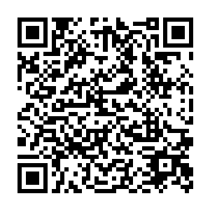 这两天天祈也偶尔有假装不经意地流露出他们要从盛京回来过年的想法二维码生成