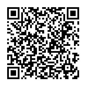 这个能力可以让他的声音传递到千叶之森附近所有对精灵图谋不轨的人心中二维码生成