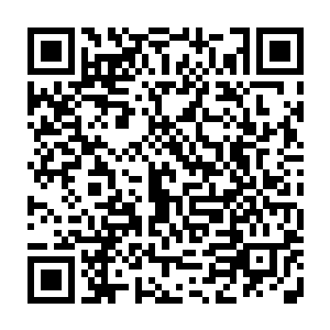 这些人根本连当炮灰的资格都没有的……实力最强的也不过才刚刚大宗师级而已二维码生成