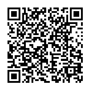 这件事情自己可以通过对天一阁的修士审问来光明正大地得到自己想要的答案二维码生成