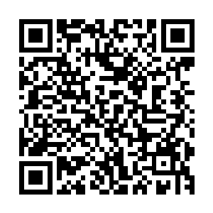 这位表面上一无是处的纨绔子弟却掌握着定国王府大半的产业二维码生成