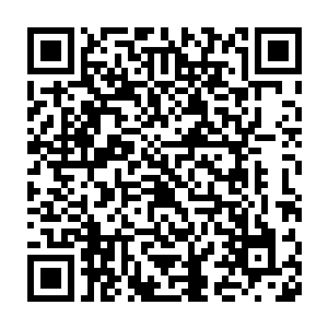 这和他在游戏中那个强壮地和铁塔一样的传奇战士完全是两个极端二维码生成