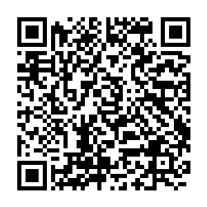 这新房子应该会是他们接下来三年离开野外区的时候的唯一的休息地儿二维码生成