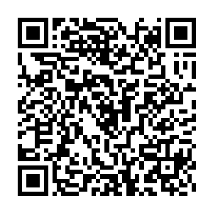 这时我似乎体会到了那日面对命劫天居之时奶奶浑身那几乎颤抖的杀意二维码生成