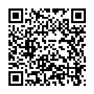 这次军演可以算作是对这几个月来的训练一次综合性考核二维码生成