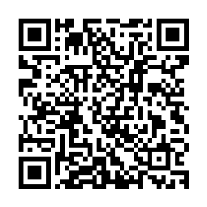 这灵石是我们灵师公会当初的创建者也就是第一任会长所留下的二维码生成