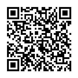 这种奇形的战斗机江少游曾在一本军方的军事杂志上看到过介绍二维码生成