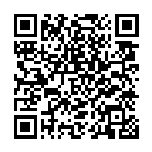 这种高智商不仅可以让他们修行类似巫族传承等秘法和神通二维码生成