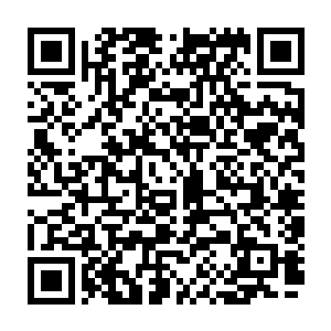 这群原本只剩下百分之十战斗力的小老鼠们瞬间爆发出百分之一百二十的战斗力二维码生成