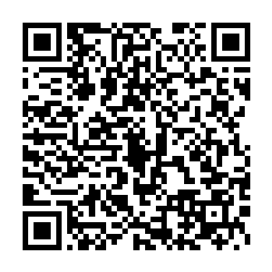 这锦帕似乎和将军府里发现的那一条沾染了蒙汗药的锦帕一模一样二维码生成