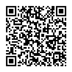 这龟人的防御力量已经强悍到了一个即便是他也无法轻易伤害的程度二维码生成