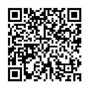 通常一些报道说是大白鲨袭击人类的时间基本上都是牛鲨所为二维码生成