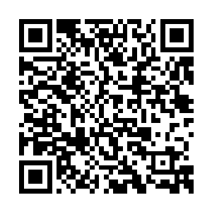 通过这些接二连三从禁地中出来的修士口中传出二维码生成