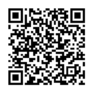 那个从白虎号飞过来的日族圣级修士脸上现出兴奋的神色二维码生成