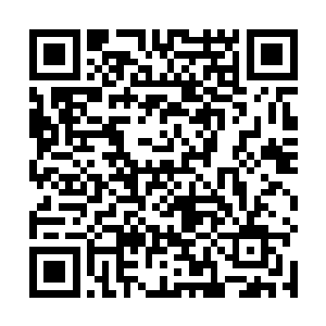 那些个豪华车又陆续被司机和盒子工厂的保安给开过来二维码生成