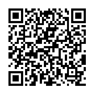 那些栽在水槽里的凌水莲已经稀稀疏疏只剩那么几枝而已了二维码生成