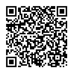 那些溃不成军的粉丝们除了打嘴炮抱怨之外似乎也放弃了要继续阻拦的念头二维码生成