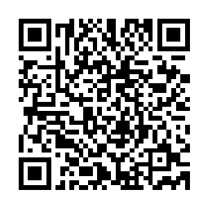 那弟子在杨晨的眼里估计可以对付四名到五名左右的同境界修士二维码生成
