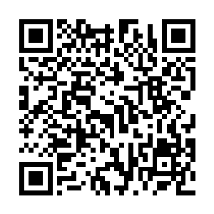 那我问你为什么你所有题的答案都跟正确答案一模一样二维码生成