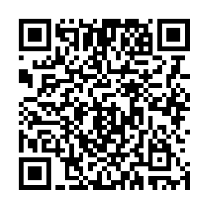 那楚云飞可是信誓旦旦地说过凌波仙子显露过仙君期的实力二维码生成