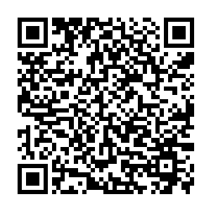 那正面承受了这可怕力量的楚旬和丧尸北极熊又该会受到怎样可怕的冲击呢二维码生成