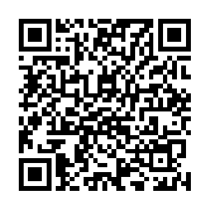 那股无形的精神巨浪也终于在楚旬怒火的推动下席卷而来二维码生成