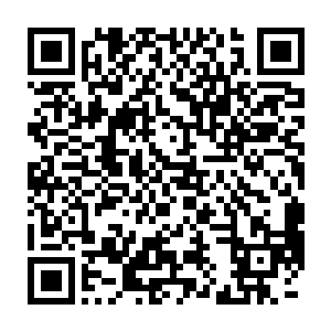 那黑影凸出地面的部份像是掉入泥沼中的野兽一般狂乱挣扎了一番二维码生成