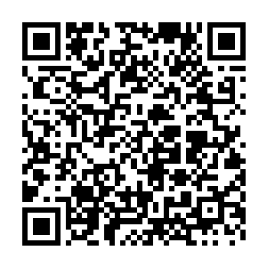 邪气的模样和平常她或霸气嚣张或冷傲疏离的模样都有着明显的差别二维码生成