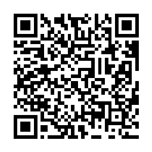 金在珉的车子在首尔特别市阳川区木洞sbs总部门口停了下来二维码生成