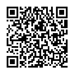 金娃娃的那块金砖和金项链都被成功的滋养成了绝强者神兵了二维码生成