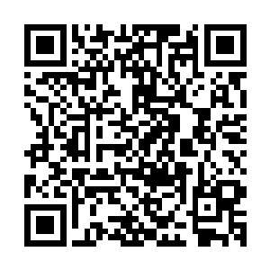 长生手里似乎有什么顺着那一根所谓的冰针进入了我的后脑勺二维码生成