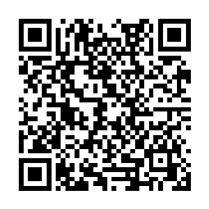 长着魔鬼羽翼独角竖眼双爪的翼蛇张开恐怖的巨吻二维码生成