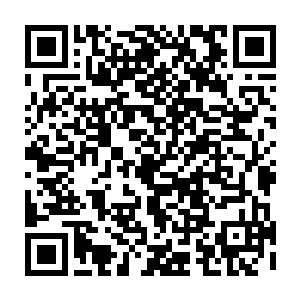 闵谌在参加完公司会议后离开的时候正好遇见了带着助手踏出电梯的叶安琪二维码生成