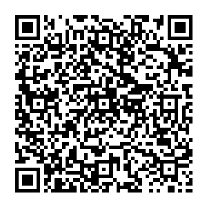 陆为民估摸着也是自己推动的合金会清理整顿行动才迫使付天华和张艳秋这两人不得不提前预谋出逃二维码生成