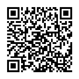 陆为民只希望自己能够在自己力所能及的范围内二维码生成