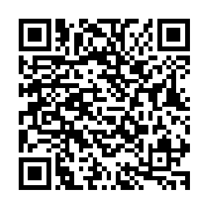 陆为民选择曹振海也是觉得此人可以最大限度的为各方所接受二维码生成