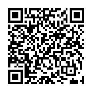 陨石带基地的防御系统已经在上次孙伟入侵中被破坏殆尽二维码生成