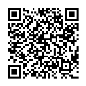 随即便注意到伤势已经稳定的石原此刻却是伤口再次崩裂二维码生成