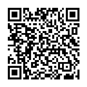 随即让麒麟去附近的海鲜批发市场买了一些海鲜回来二维码生成