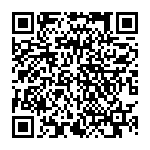 随后就见那只本来被尾巴抽散了的黑色大爪子突然出现在金冠皇蟒的身前二维码生成